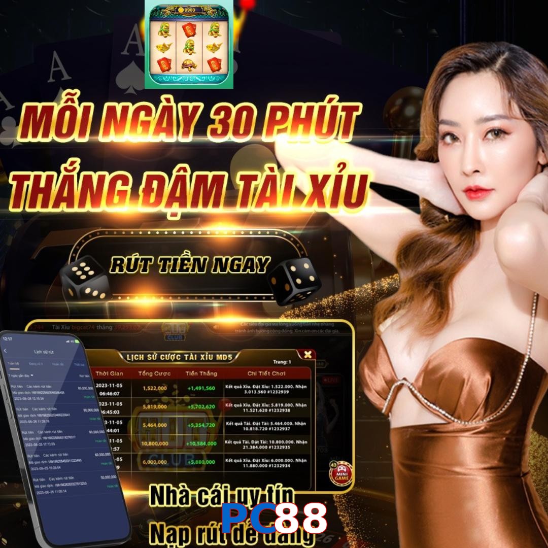PC88