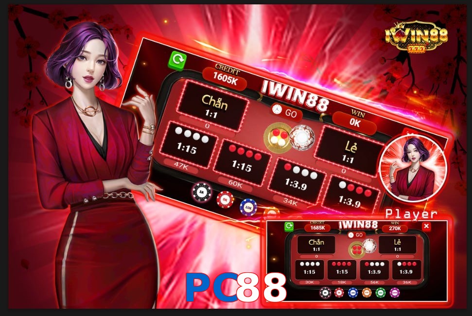 PC88